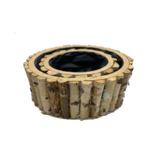 Wooden planter with birch