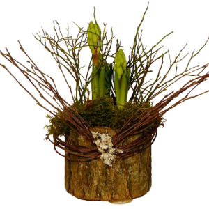 Wooden planter